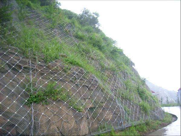 重庆边坡防护网